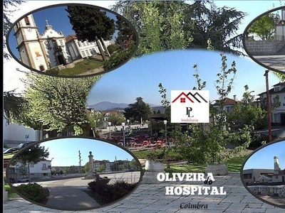 Conjunto de 24 frações,( LOJAS ) Oliv Hospital (V686PL)