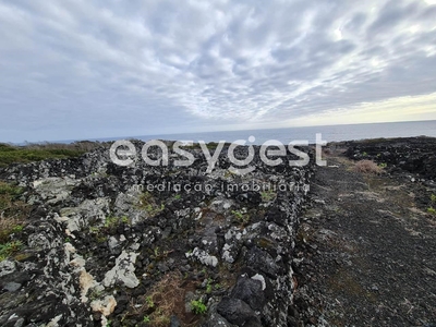 Terreno de vinha junto ao mar na zona da Mirateca na ilha do Pico