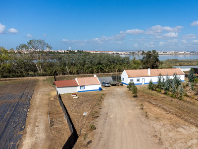 Quinta com 6,9 ha, duas habitações e anexos, a 160m da margem sul do Rio Tejo