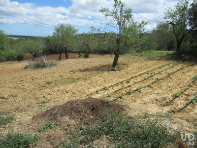 Terreno Agrícola em Boliqueime de 2 200 m²