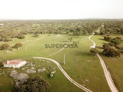 Herdade à venda em Gafanhoeira (São Pedro) e Sabugueiro