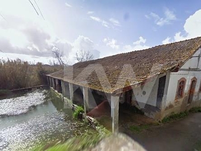 Mills to restore in Paleão, Soure