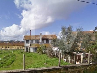 Mini Farm with House to Restore for Sale in Paleão, Soure