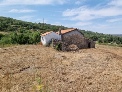 Quinta T2 em Celorico (São Pedro e Santa Maria) e Vila Boa do Mondego de 14 910 m²