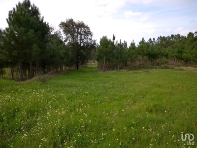 Terreno em Coruche, Fajarda e Erra de 19 034 m²
