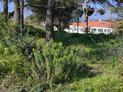 Terreno em Sesimbra (Castelo) de 2 190 m²