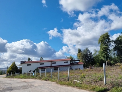 Terreno para construção em Mortágua, Vale de Remígio, Cortegaça e Almaça de 3 900 m²