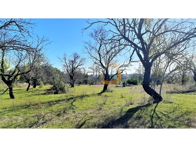 Lote de terreno com casa para recuperar nos arredores de ...