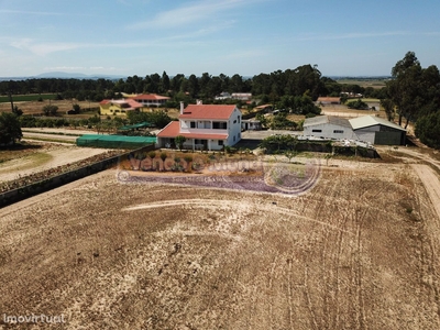 Conjunto de várias casas e terreno no Campo - Caldas da R...