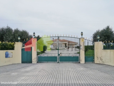 Quinta de 10.000 m2 com Moradia T5, Armazém e Vinha em Palmela