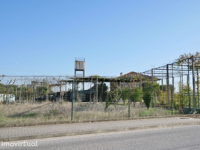 Terreno Industrial com 5000m2 e Moradia T5 / HABITAÇÃO OU NEGÓCIO