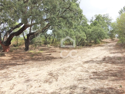 Terreno Agrícola Periurbano de 28000m2 na Moita