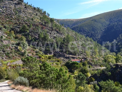 Quinta / Covilhã, Serra da Estrela