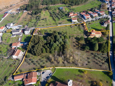 Quinta com palacete , 1168m2 de construção e terreno urbano de 1,7 ha. perto do centro de Vila Nova de Poiares