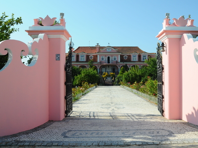 Quinta de 102 ha em Palmela com moradia, piscina, vinha, pinhal, pomar e sobreiros