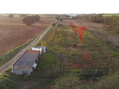 Terreno Agrícola - São Brissos , Beja