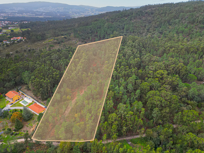 Terreno Florestal Galegos São Martinho (Barcelos)