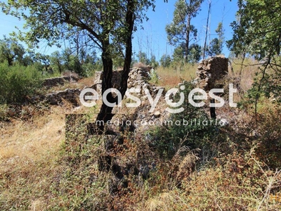 Terreno misto com ruína com área total de 1360m2 e área bruta de 90m2