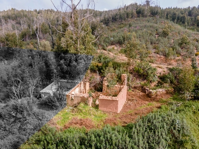 Terreno Misto com ruína para reabilitar na freguesia de Monchique