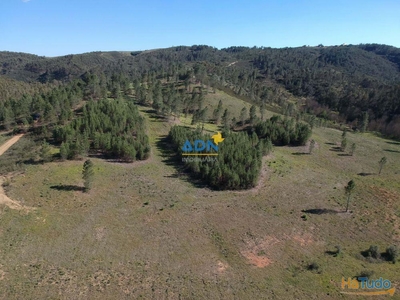 Terreno Ribeirinho com 5,65ha para venda