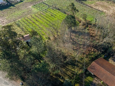 Terreno à venda em Cervães, Vila Verde