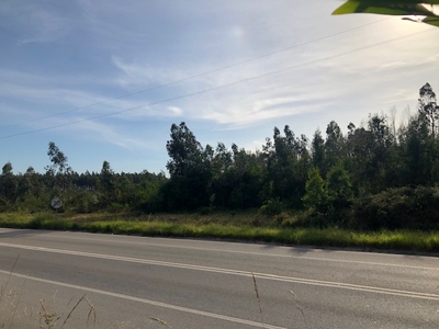 Terreno com cerca de 10.000 m2 em Macinhata do Vouga