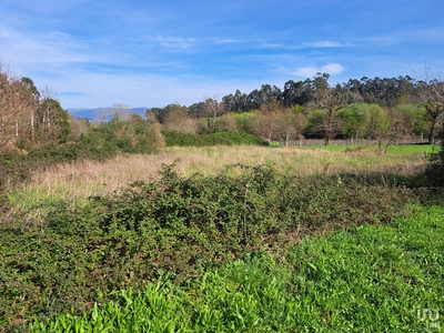 Terreno Agrícola em Pico de Regalados, Gondiães e Mós de 1 354 m²