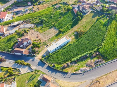 Terreno para construção em Pinheiro da Bemposta, Travanca e Palmaz de 2 900 m²