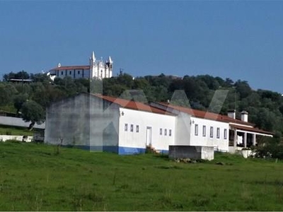 Farm of 1,7 ha in Alcáçovas/Évora with independent house T5 with 253 m2, and swimming pool