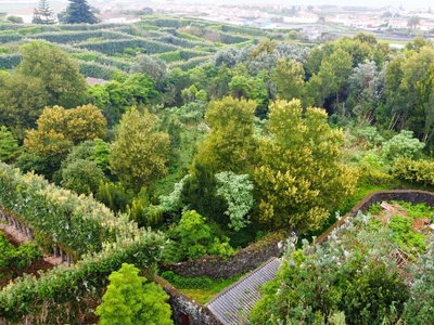 Quinta na Ribeira Grande