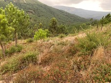 Terreno para Construção / Vila Nova de Cerveira, Sopo