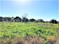 Terreno / Figueira da Foz, Lavos