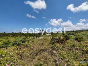 Terreno rústico com 10.100m2 junto a vinhas na Madalena do Pico