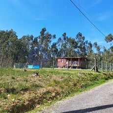 Terreno Rústico em Souto em zona de reserva florestal - com 2.180 m2
