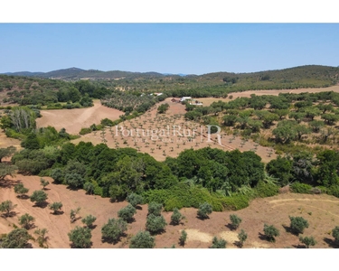 Herdade de 105 hectares com montado de sobro e olival tradicional em Arronches