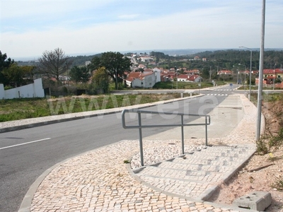 Lote / Coimbra, Maínça