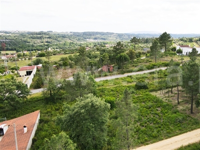 Lote / Ourém, Seiça