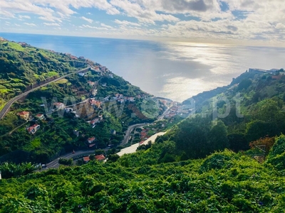 Terreno / Calheta (Madeira), Calheta