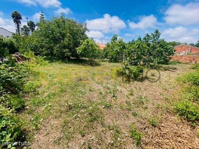 Terreno para comprar em São Gregório, Portugal