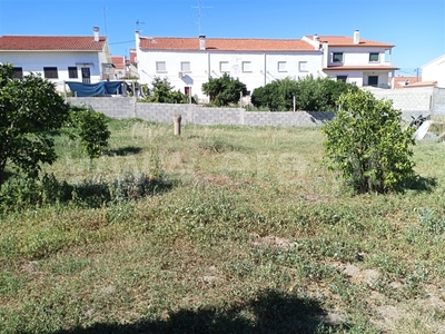 Lote / Castelo Branco, Castelo Branco