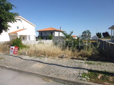 Lote / Castelo Branco, Lardosa