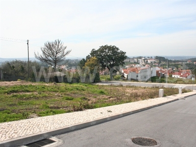 Lote / Coimbra, Maínça