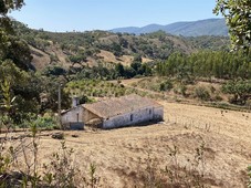 Quinta / Odemira, São Teotónio