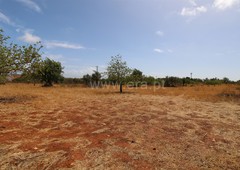 Terreno com ruina / Albufeira, Paderne