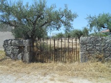 Terreno / Castelo Branco, Póvoa de Rio de Moinhos