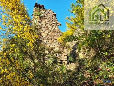Venda de ruína com terreno em Côja