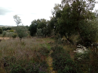 Quinta T0 à venda em Salgueiro do Campo