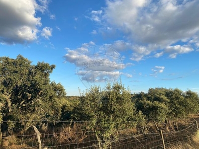 Terreno à venda em São Manços e São Vicente do Pigeiro, Évora