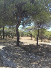 Terreno para venda perto da praia e do golfe, Ancão, Almancil, Algarve