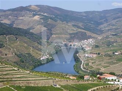Propriedade Vinícola no Douro - 58 hectares de vinha biológica